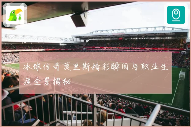 冰球传奇莫里斯精彩瞬间与职业生涯全景揭秘