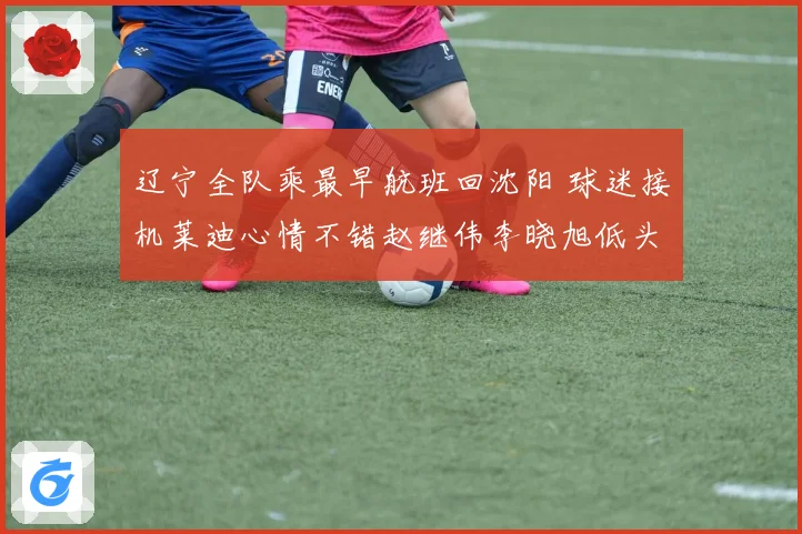辽宁全队乘最早航班回沈阳 球迷接机莱迪心情不错赵继伟李晓旭低头为中心
