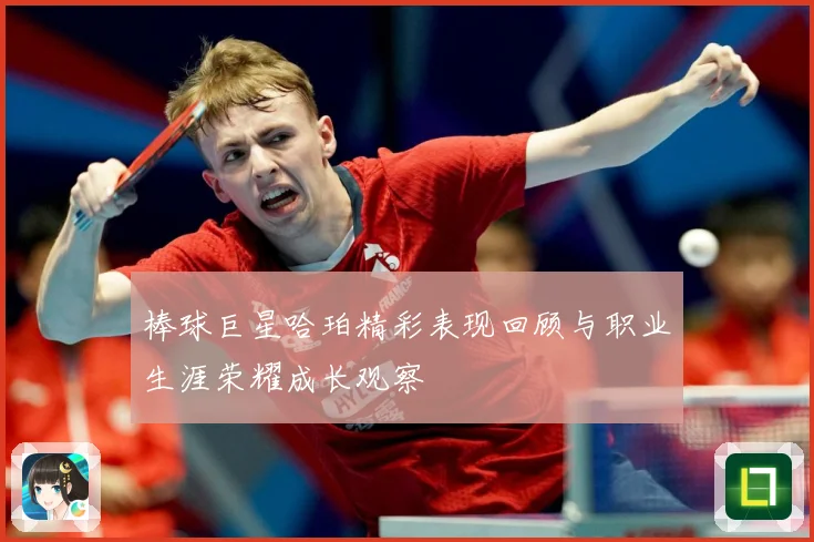 棒球巨星哈珀精彩表现回顾与职业生涯荣耀成长观察
